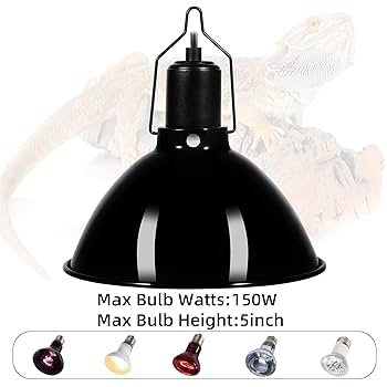 Chama Amazon.com : Exmark 116-1255 Pump Idler Lazer Z AS E S X Z